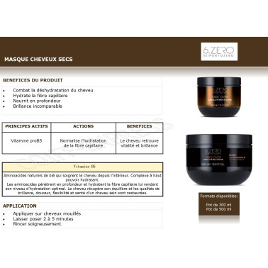 Masque cheveux secs  professionnel Absolute Rich & Shine take over