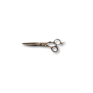 Cisea de coupe Victorius taille 6