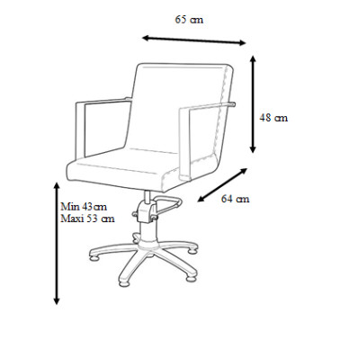 Dimensions fauteuil professionnel pour salon de coiffure pas cher Original Best Buy modèle Meuse