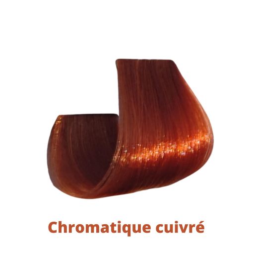Coloration cheveux Papillon Coiffance 100 ML