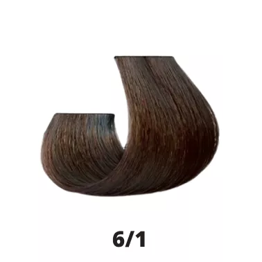 Coloration cheveux Papillon Coiffance 6.1