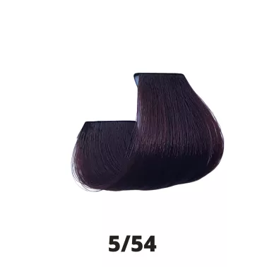 Coloration cheveux Papillon Coiffance 5.54