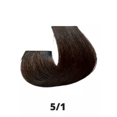 Coloration cheveux Papillon Coiffance 5.1