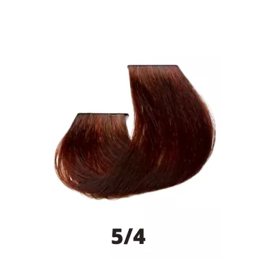 Coloration cheveux Papillon Coiffance 5.4