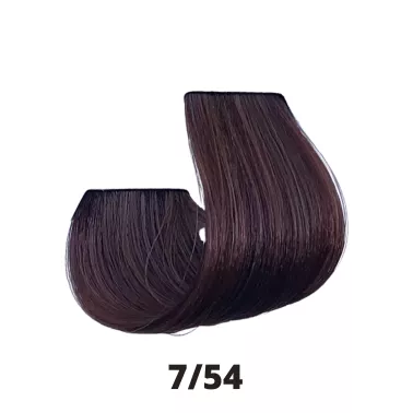 Coloration cheveux Papillon Coiffance 7.54