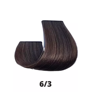 Coloration cheveux Papillon Coiffance 6.3