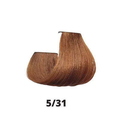 Coloration cheveux Papillon Coiffance 5.31