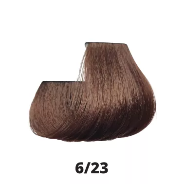 Coloration cheveux Papillon Coiffance 6.23