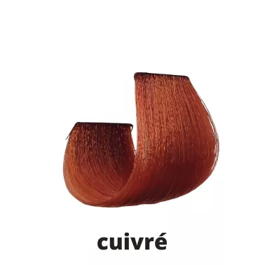 Coloration cheveux Papillon Coiffance cuivré	