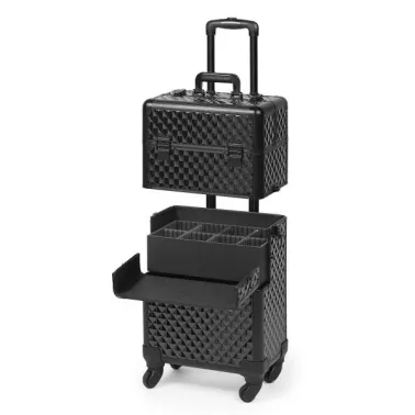 valise two in on beauty case