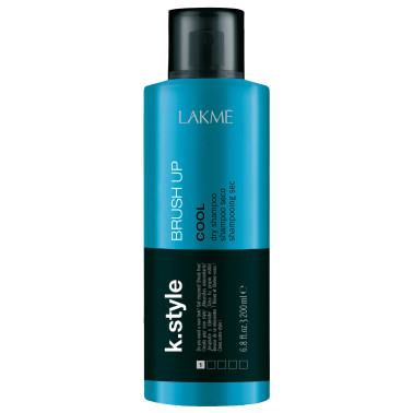 Shampoing Sec 200 ml Brush Up