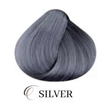 Patine professionnelle pour cheveux Collage k blonde toner Lakmé 60 ml silver