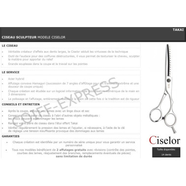 sculpteur takai ciselor