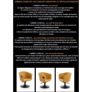 fauteuil de coiffure vibbro chair Vezzozi