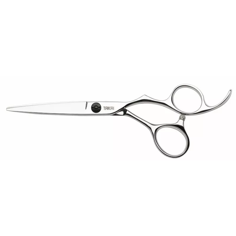 Ciseau TAKAI Akio taille 5