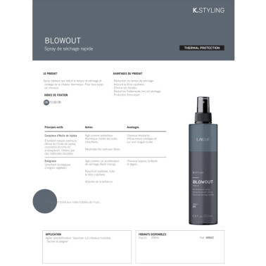 Fiche Blowout Lakmé
