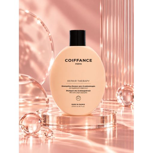 Shampoing cheveux secs Coiffance
