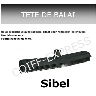 Balai Sol Avec Raclette