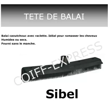 Fiche balai Sol Avec Raclette