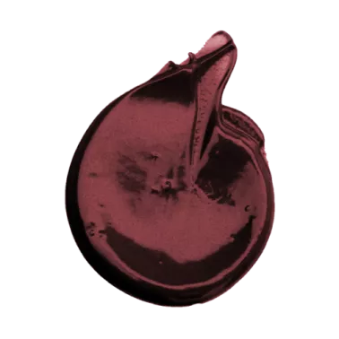 Nuance soin recolorant et repigmentant Coiffance professionnel vente color booster, victoire de la beauté