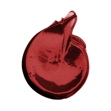 Soin recolorant et repigmentant Coiffance professionnel vente color booster, victoire de la beauté