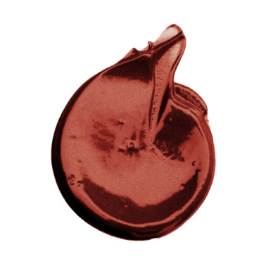 Soin recolorant et repigmentant Coiffance professionnel vente color booster, victoire de la beauté