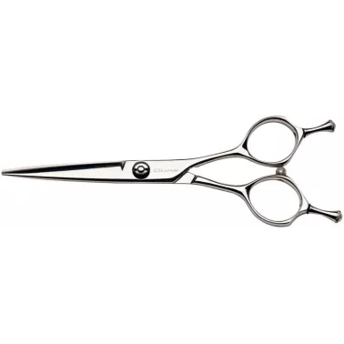 Ciseau de coupe droit professionnel pour salon de coiffure. Lames rasoir. Modèle Aéro