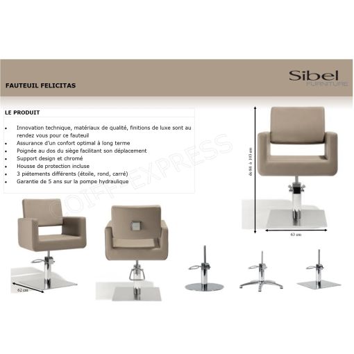 Fauteuil coiffage Felicitas Noir base étoile pour salon de coiffure, spécial coiffeur marque Sibel Furniture vue de dos croco no